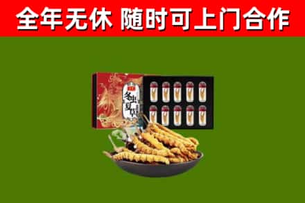 旅顺口区回收冬虫夏草价格